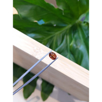 2.24 Ct. Reddish Orange Sapphire from Ceylon (Sri Lanka) Life Style