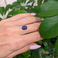 3.87 Ct. Blue Cabochon Sapphire from Ceylon (Sri Lanka) Life Style