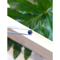 1.20 Ct. Blue Sapphire from Madagascar Life Style