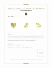 4.02 Ct. Yellow Sapphire from Ceylon (Sri Lanka) Appraisal