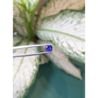 1.36 Ct. Blue Sapphire from Ceylon (Sri Lanka) Life Style