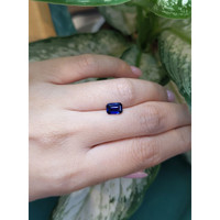 1.43 Ct. Blue Sapphire from Ceylon (Sri Lanka) Life Style