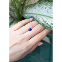 1.22 Ct. Blue Sapphire from Ceylon (Sri Lanka) Life Style