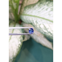 1.22 Ct. Blue Sapphire from Ceylon (Sri Lanka) Life Style