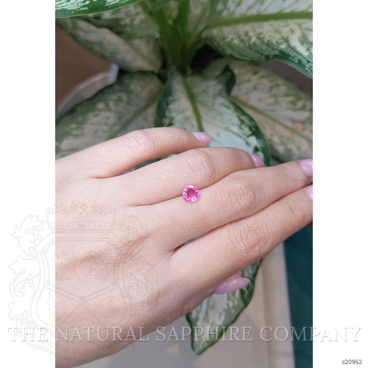 1.02 Ct. Pink Sapphire from Ceylon (Sri Lanka)