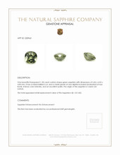 1.28 Ct. Sapphire from Ceylon (Sri Lanka) Appraisal