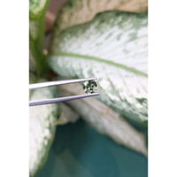 1.28 Ct. Green Sapphire from Ceylon (Sri Lanka) Life Style
