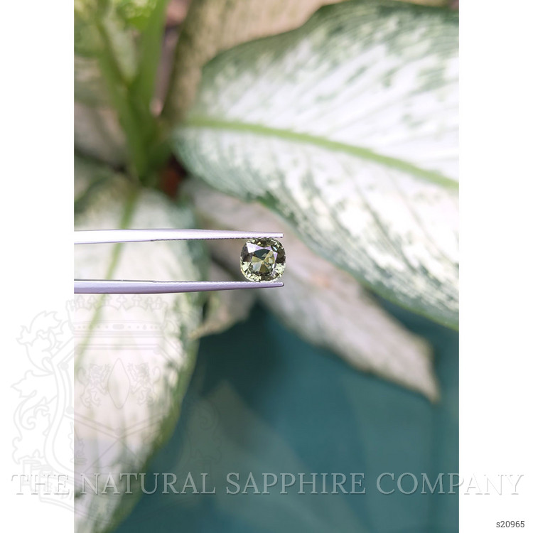 2.00 Ct. Green Sapphire from Ceylon (Sri Lanka)