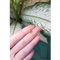 1.47 Ct. Yellow Sapphire from Ceylon (Sri Lanka) Life Style