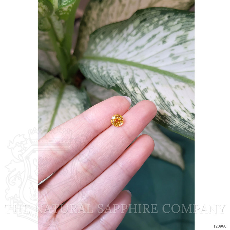 1.47 Ct. Yellow Sapphire from Ceylon (Sri Lanka)