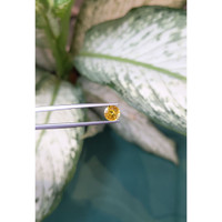 1.47 Ct. Yellow Sapphire from Ceylon (Sri Lanka) Life Style