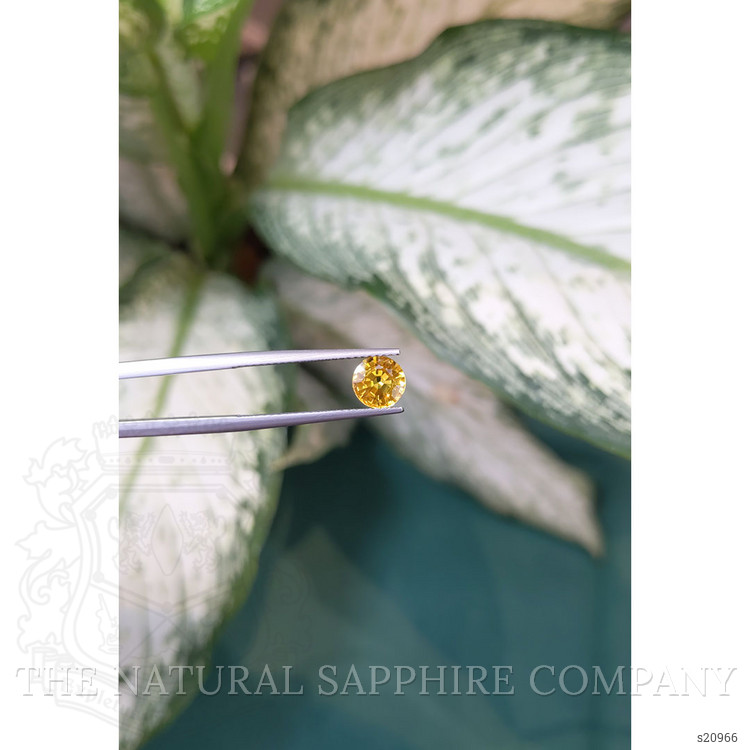 1.47 Ct. Yellow Sapphire from Ceylon (Sri Lanka)