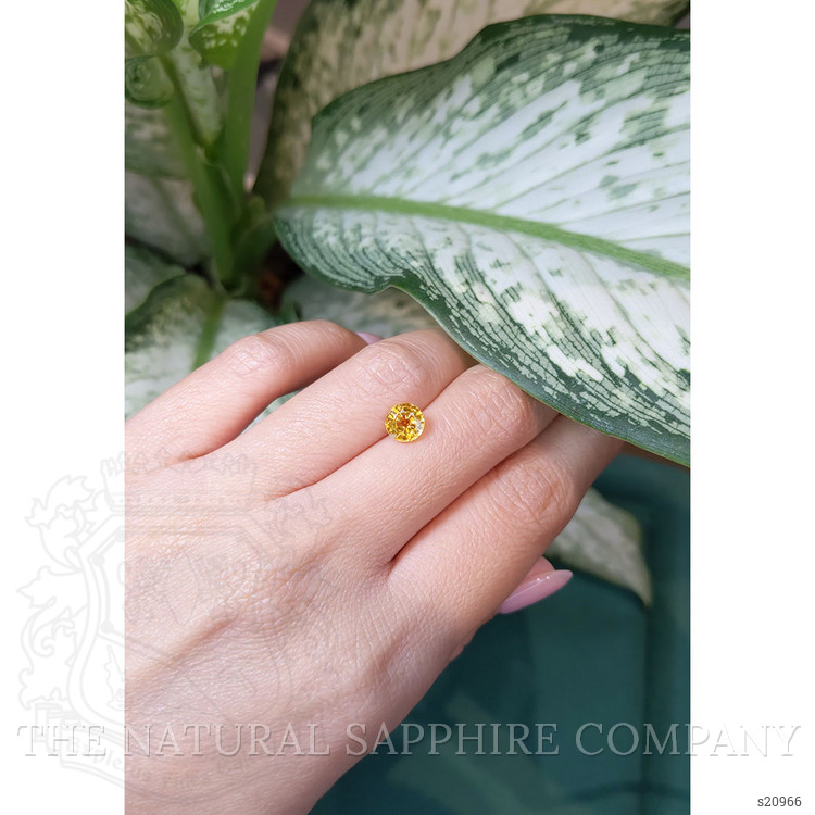 1.47 Ct. Yellow Sapphire from Ceylon (Sri Lanka)