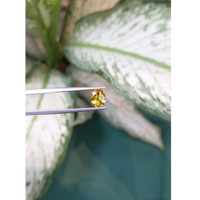 1.49 Ct. Orangish Yellow Sapphire from Ceylon (Sri Lanka) Life Style