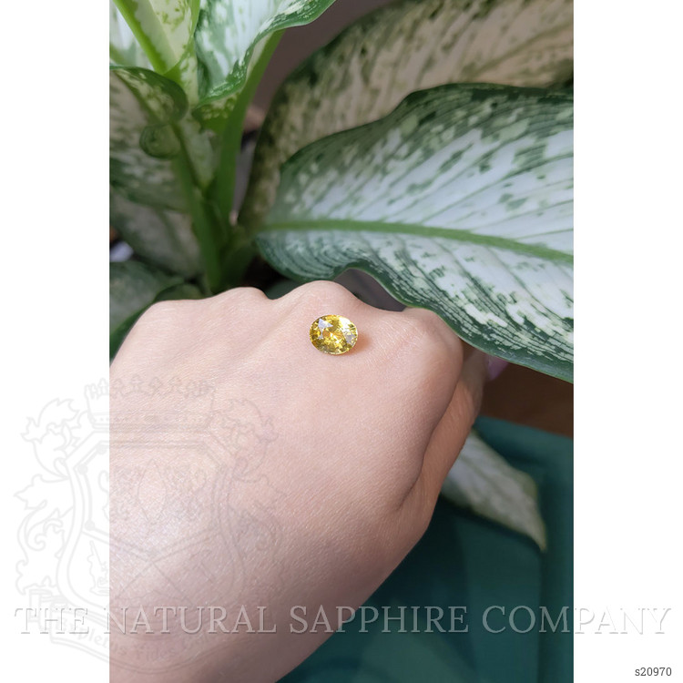 3.12 Ct. Yellow Sapphire from Ceylon (Sri Lanka)