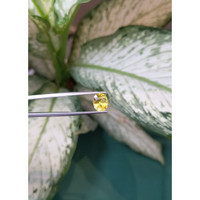3.12 Ct. Yellow Sapphire from Ceylon (Sri Lanka) Life Style