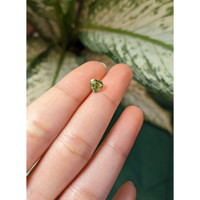 1.37 Ct. Green Sapphire from Ceylon (Sri Lanka) Life Style