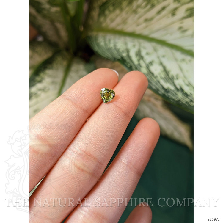 1.37 Ct. Green Sapphire from Ceylon (Sri Lanka)