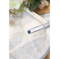 0.79 Ct. Blue Sapphire from Montana Life Style