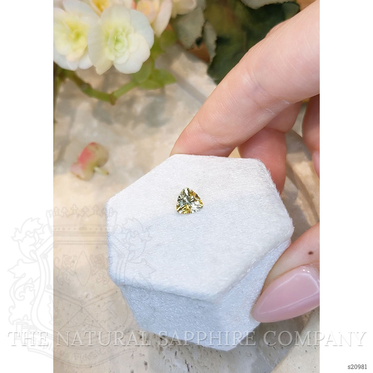 1.11 Ct. Bi Color Sapphire from Montana