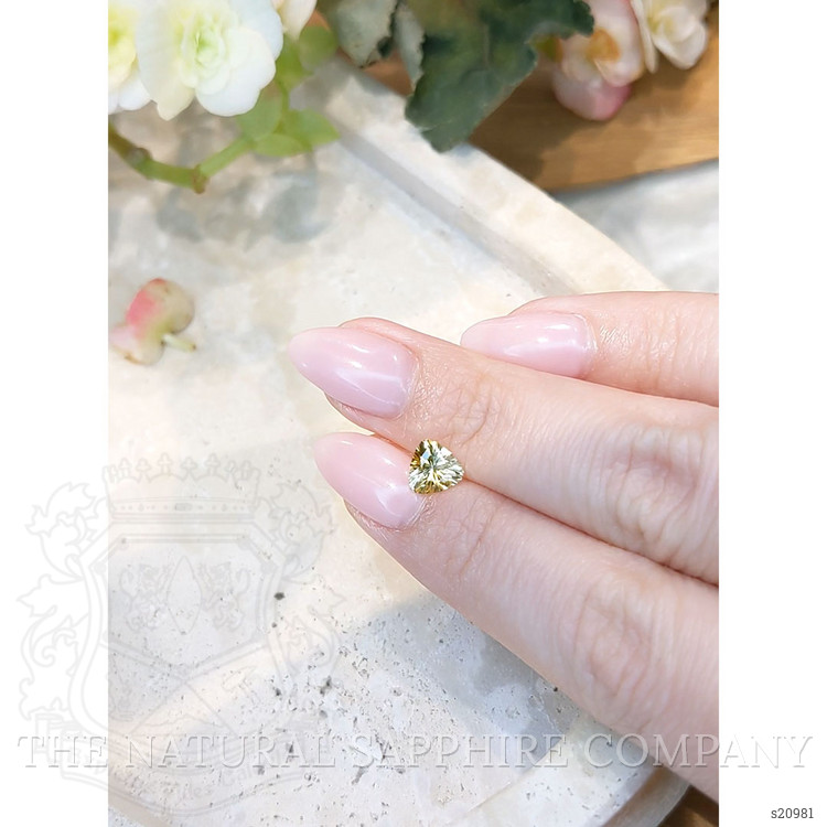 1.11 Ct. Bi Color Sapphire from Montana