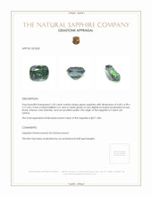 1.02 Ct. Green Sapphire from Ceylon (Sri Lanka) Appraisal