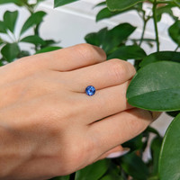 0.70 Ct. Blue Sapphire from Ceylon (Sri Lanka) Life Style