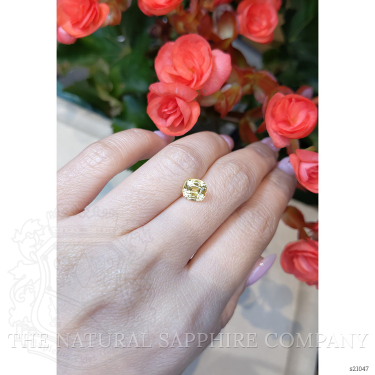 2.00 Ct. Yellow Sapphire from Ceylon (Sri Lanka)