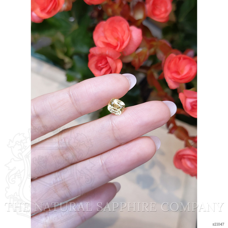 2.00 Ct. Yellow Sapphire from Ceylon (Sri Lanka)