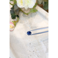 1.35 Ct. Blue Sapphire from Montana Life Style
