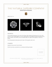 Jewelry Appraisal