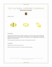 3.34 Ct. Yellow Sapphire from Ceylon (Sri Lanka) Appraisal