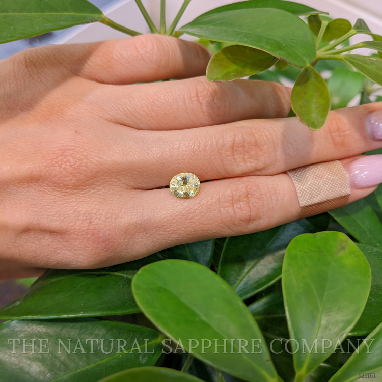 2.00 Ct. Yellow Sapphire from Ceylon (Sri Lanka)