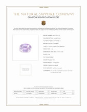 Jewelry Scan Report