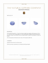 1.19 Ct. Purplish Blue Sapphire from Ceylon (Sri Lanka) Appraisal