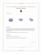 1.19 Ct. Purplish Blue Sapphire from Ceylon (Sri Lanka) Appraisal