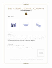 Jewelry Appraisal