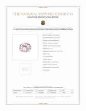 Jewelry Scan Report