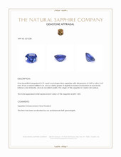 0.79 Ct. Blue Sapphire from Ceylon (Sri Lanka) Appraisal