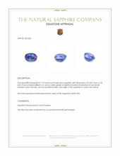 1.18 Ct. Blue Sapphire from Ceylon (Sri Lanka) Appraisal