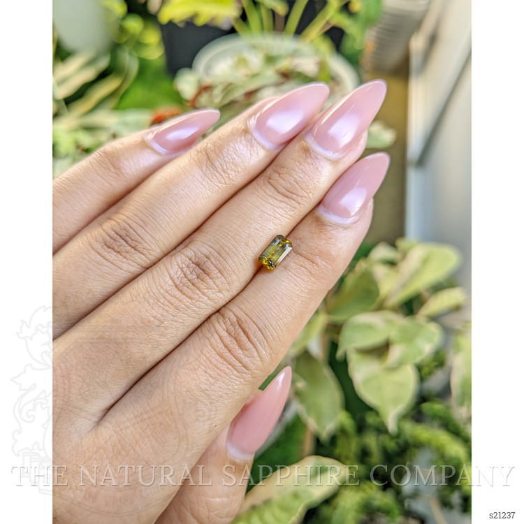 1.27 Ct. Greenish Yellow Sapphire from Ceylon (Sri Lanka)