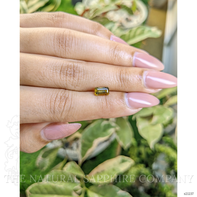 1.27 Ct. Greenish Yellow Sapphire from Ceylon (Sri Lanka)