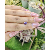 1.15 Ct. Bi Color Sapphire from Ceylon (Sri Lanka) Life Style