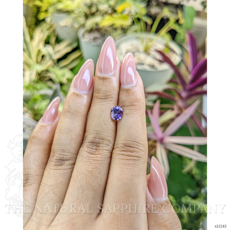 1.15 Ct. Bi Color Sapphire from Ceylon (Sri Lanka)