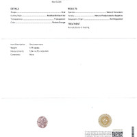 Jewelry Scan Report