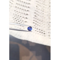 1.01 Ct. Blue Sapphire from Ceylon (Sri Lanka) Life Style