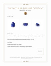 1.15 Ct. Blue Sapphire from Ceylon (Sri Lanka) Appraisal