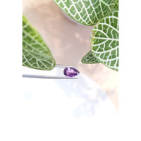 2.03 Ct. Purple Sapphire from Ceylon (Sri Lanka) Life Style