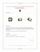 1.34 Ct. Yellowish Green Sapphire from Madagascar Appraisal