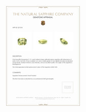 Jewelry Appraisal